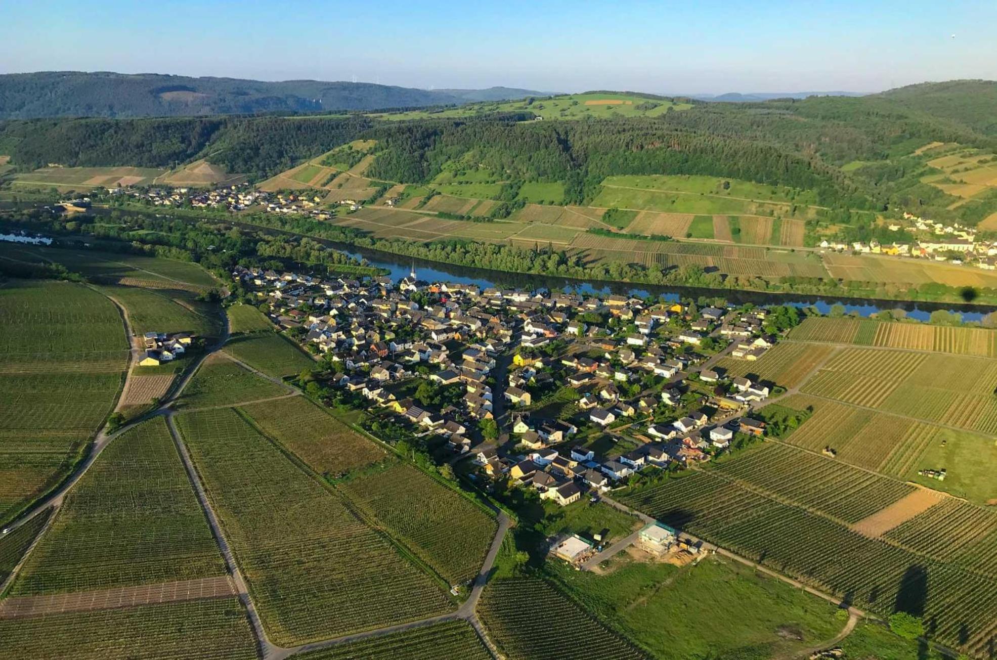 Ferienwohnungen Moselterrasse Detzem Buitenkant foto